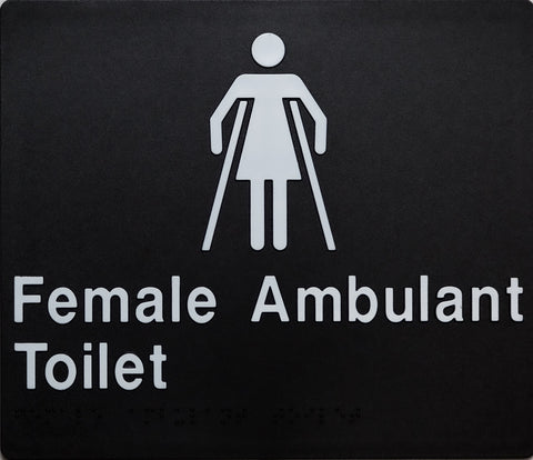 Male Ambulant Toilet Sign With Braille (Silver/Black)