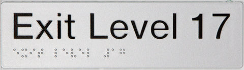Braille Exit Sign - Level 15 (Green/White)