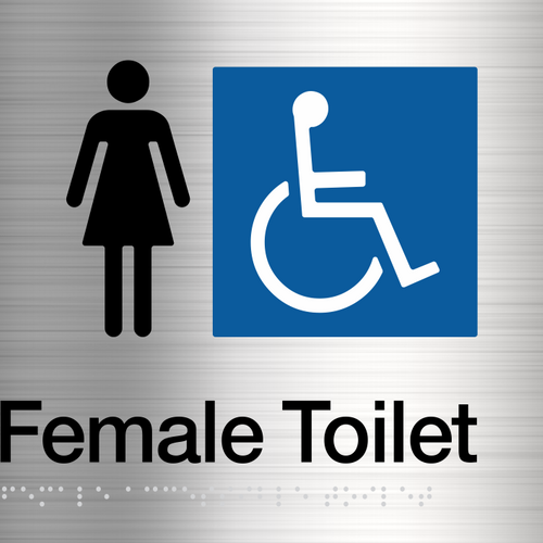 Female Disabled Toilet  Stainless Steel - IMG 3