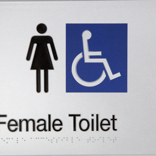 Female Accessible Toilet (Silver) - IMG 2
