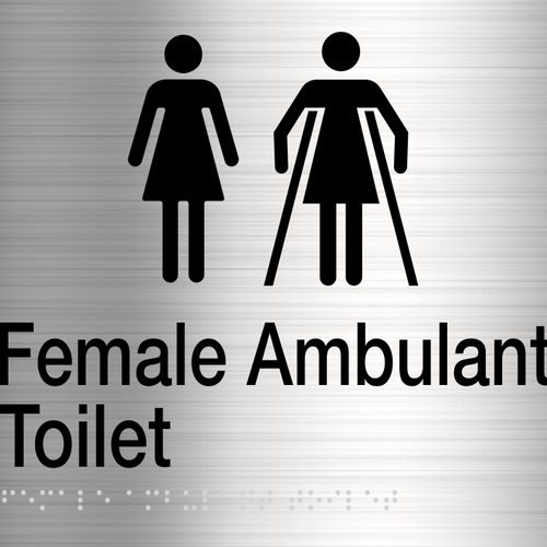 Female Ambulant Toilet Sign (Stainless Steel) Two Icons - IMG 3